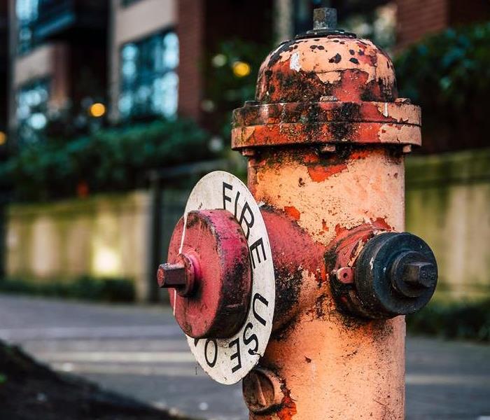 A fire hydrant in front of a Nashville building.